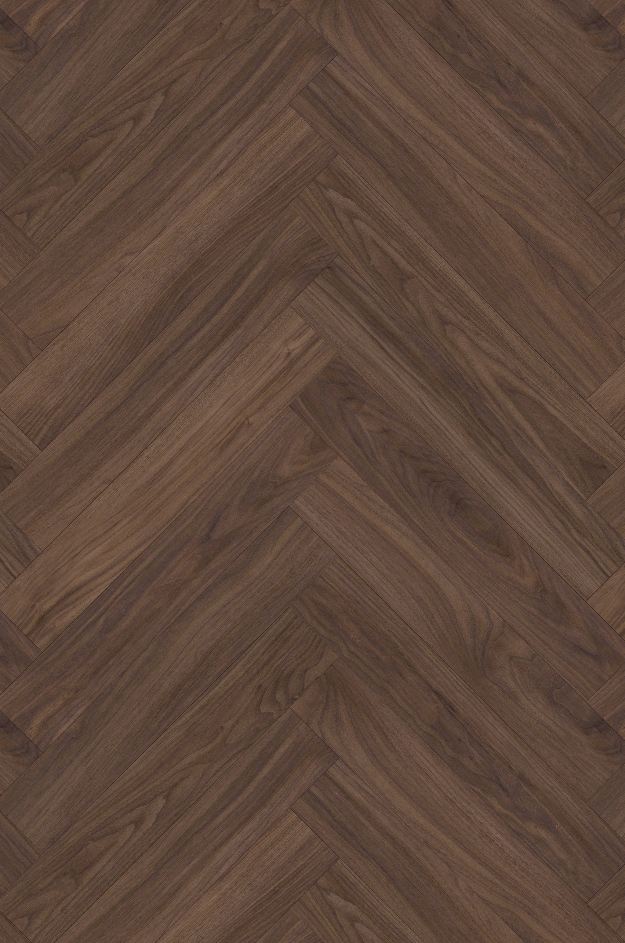 THE BROWN HERRINGBONE